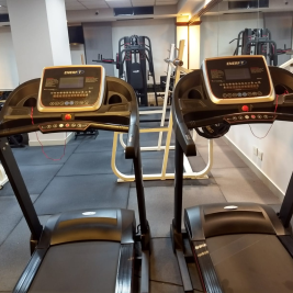 Gimnasio