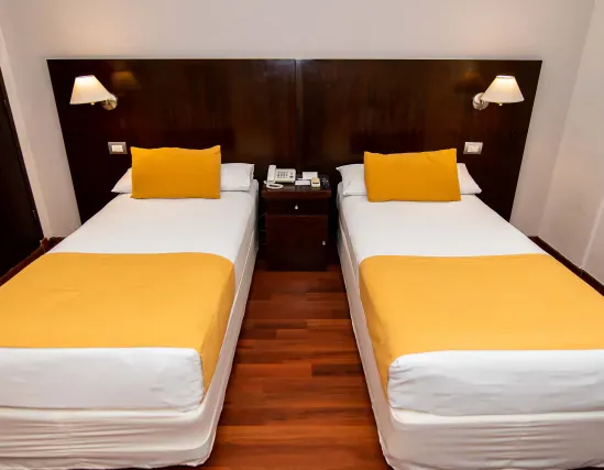 Standard room with two single beds and interior view
