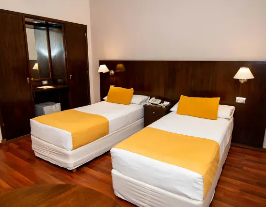 Standard room with two single beds and interior view